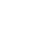 bullet